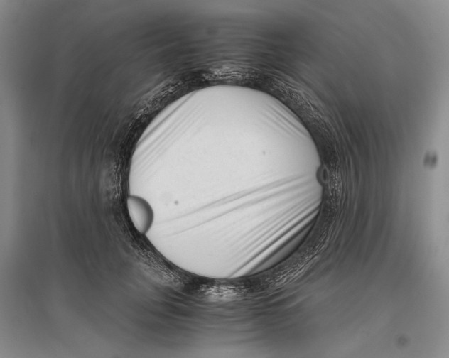 X0000096980751200802291145