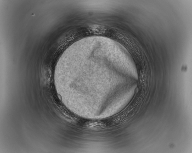 X0000096980752200802291145