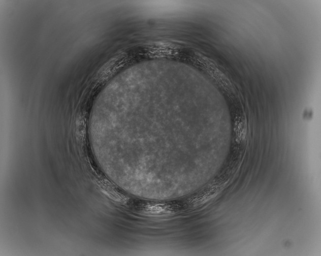 X0000096980753200802291145