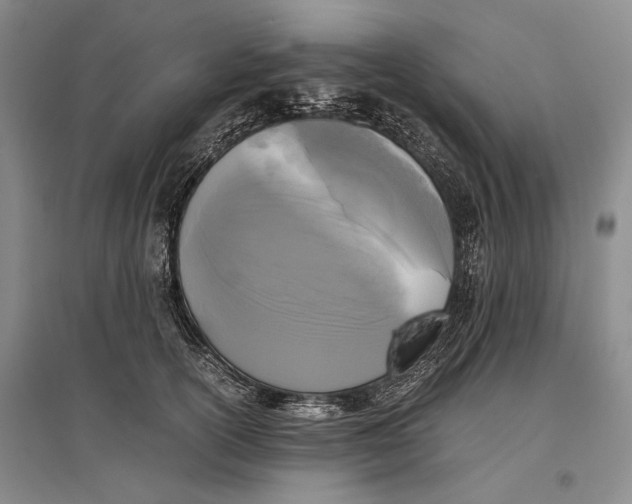 X0000096980754200802291146