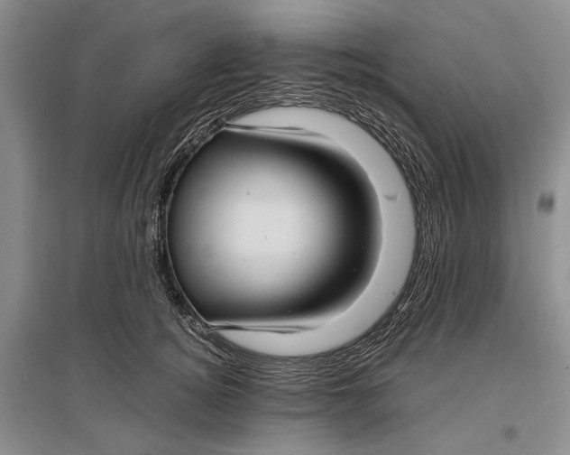 X0000096980756200802291146