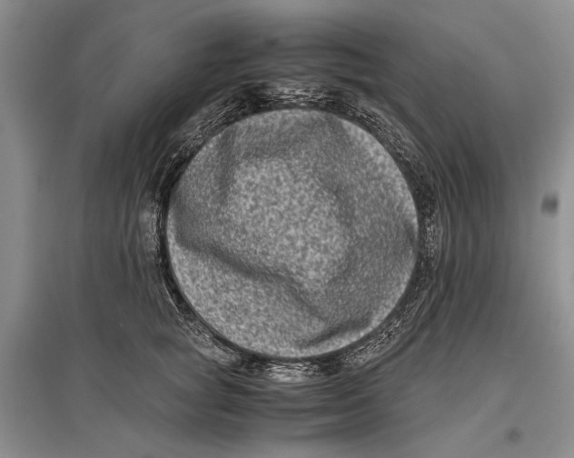 X0000096980757200802291146