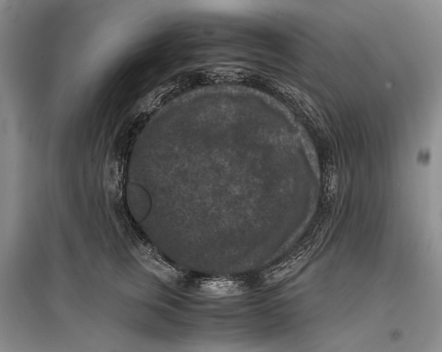 X0000096980759200802291146