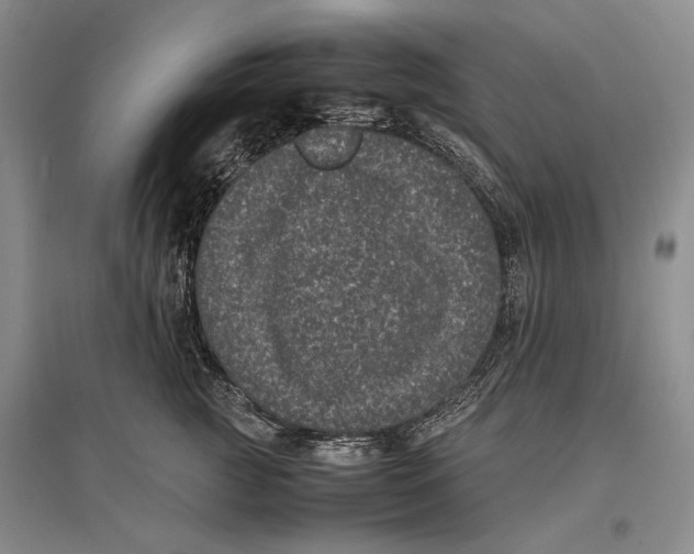 X0000096980761200802291146