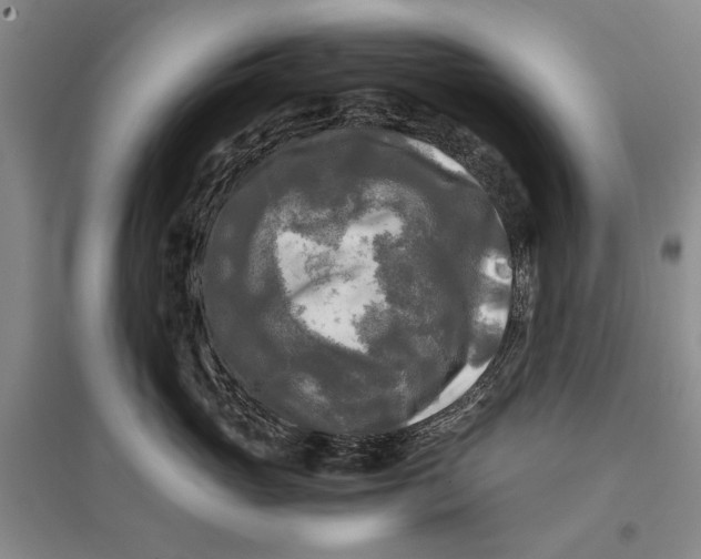 X0000096980765200802291146