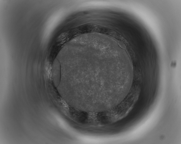 X0000096980766200802291146