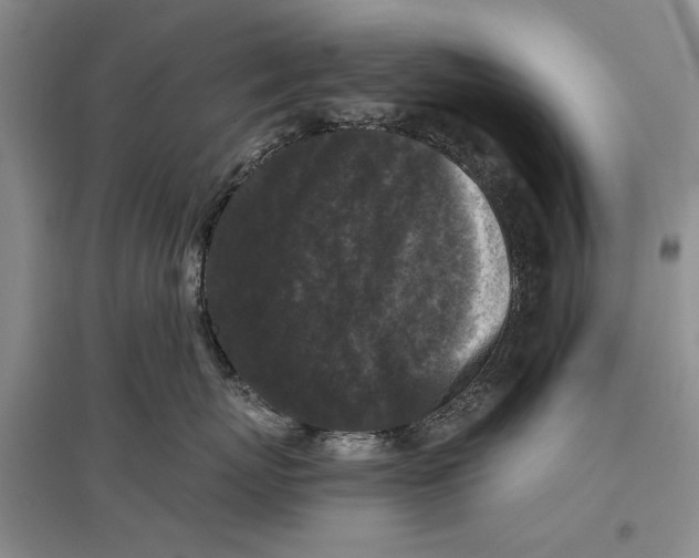 X0000096980767200802291146