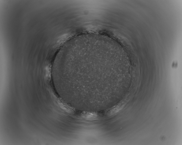 X0000096980768200802291146