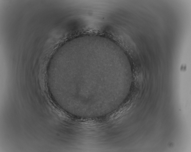 X0000096980769200802291145