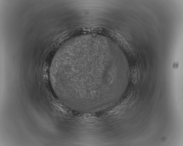 X0000096980770200802291145