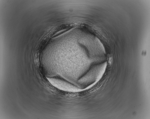 X0000096980771200802291145