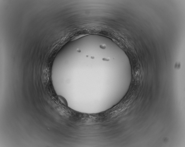 X0000096980772200802291145