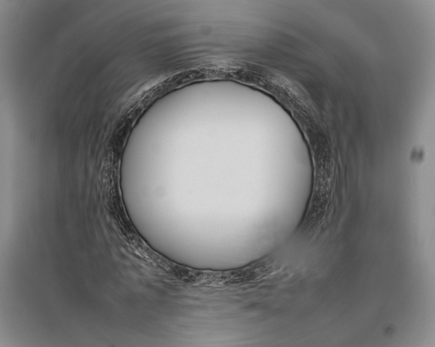 X0000096980773200802291145