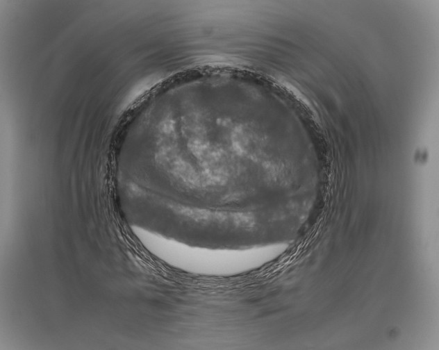 X0000096980775200802291145