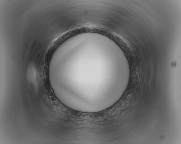 X0000096980776200802291145