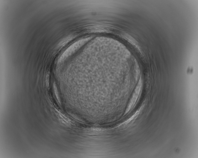 X0000096980777200802291145