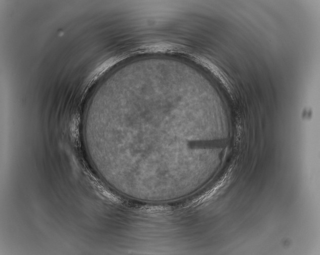 X0000096980778200802291145