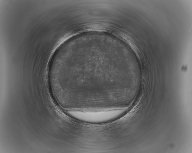 X0000096980779200802291145