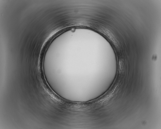 X0000096980780200802291145