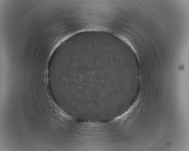 X0000096980781200802291145