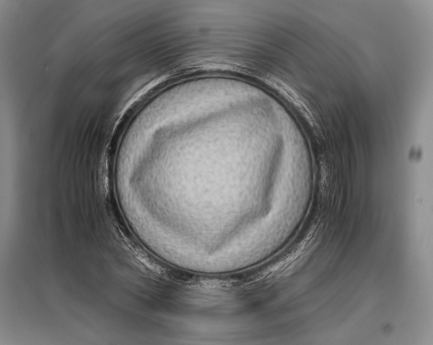 X0000096980782200802291145