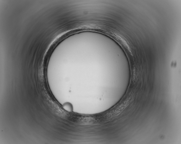 X0000096980784200802291145