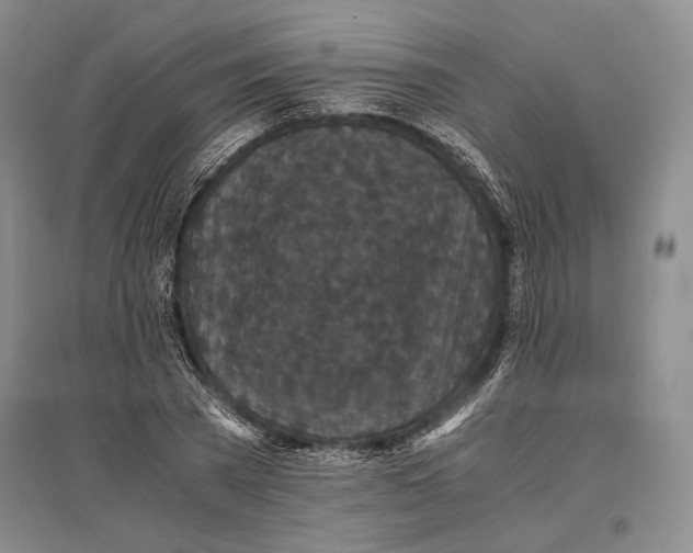 X0000096980785200802291145