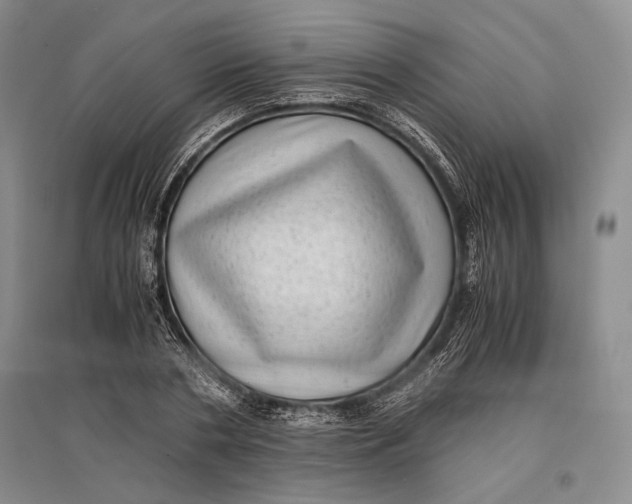 X0000096980786200802291145