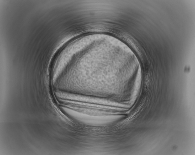 X0000096980787200802291145