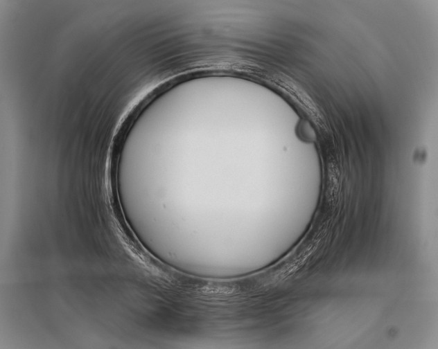 X0000096980788200802291145