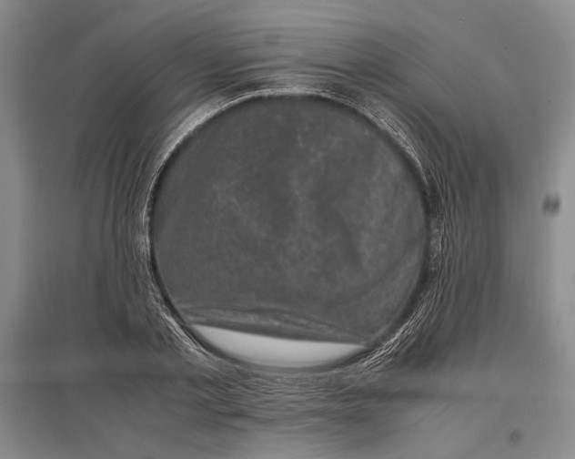 X0000096980789200802291145