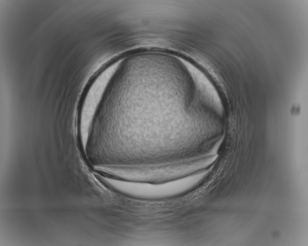 X0000096980791200802291145