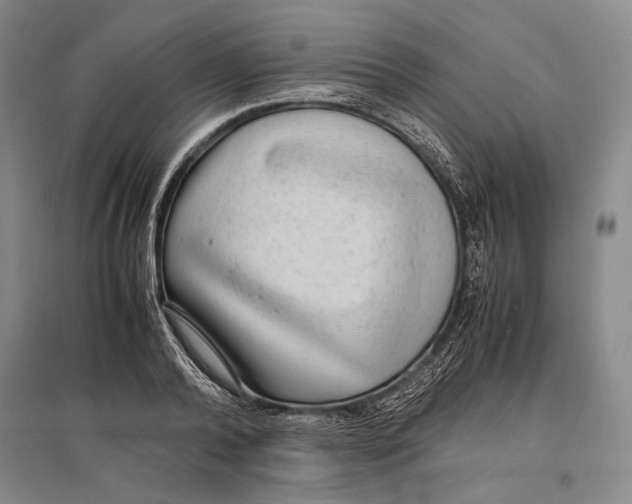 X0000096980792200802291145