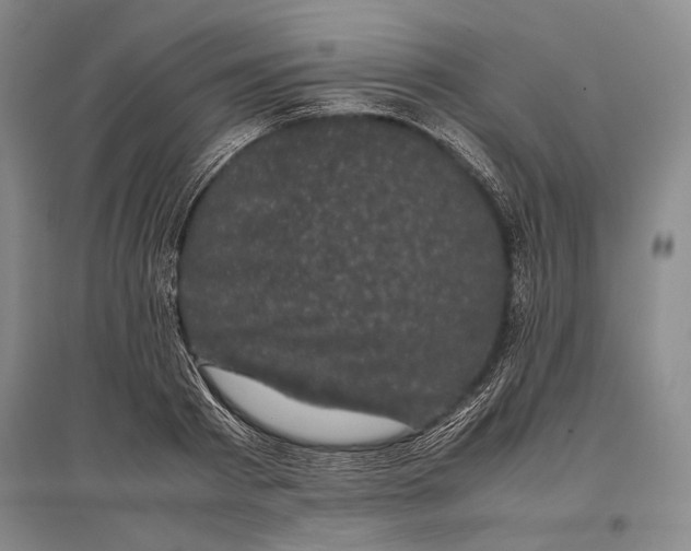 X0000096980793200802291145