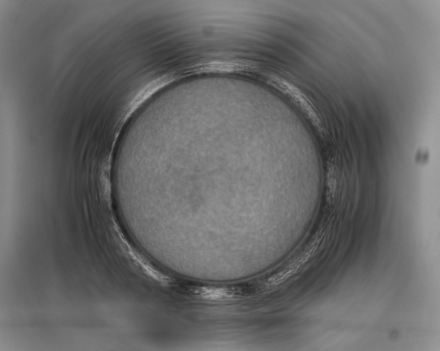 X0000096980794200802291145