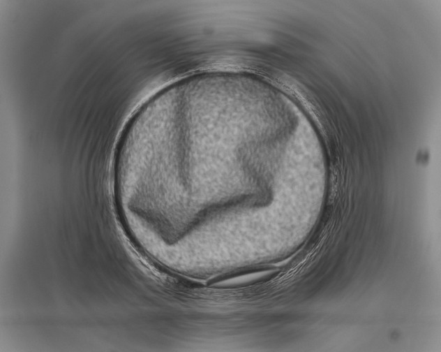 X0000096980795200802291144