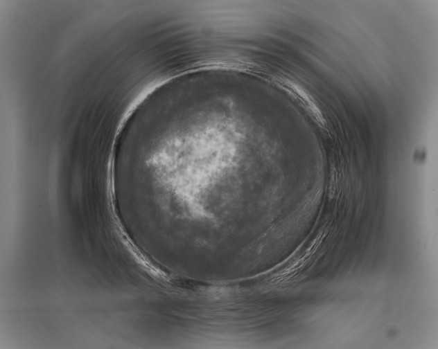 X0000096980796200802291144