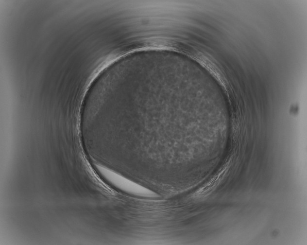 X0000096980797200802291144