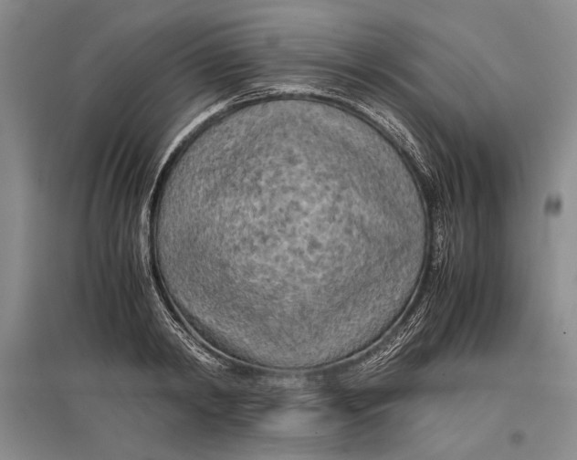 X0000096980798200802291144