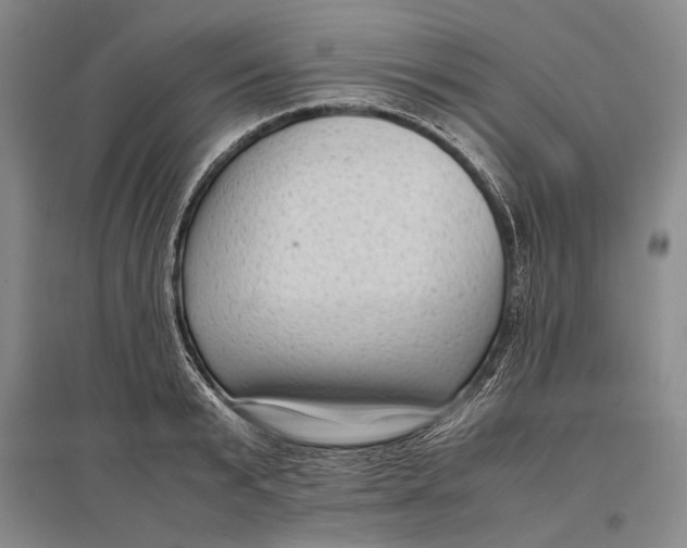 X0000096980799200802291144