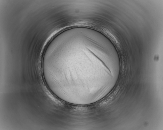 X0000096980800200802291144