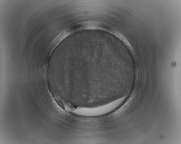 X0000096980801200802291144