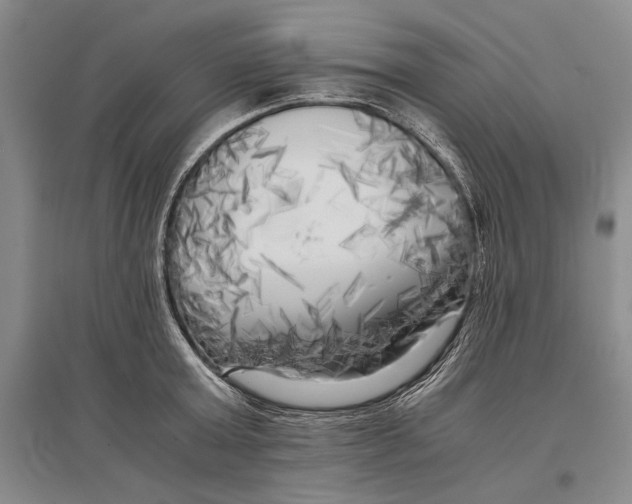 X0000096980803200802291144