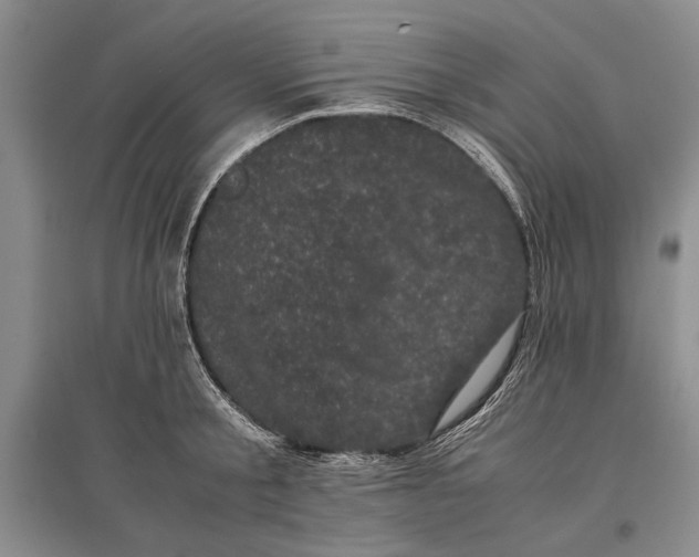 X0000096980805200802291144