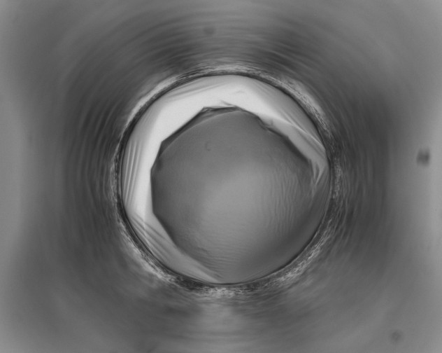 X0000096980806200802291144