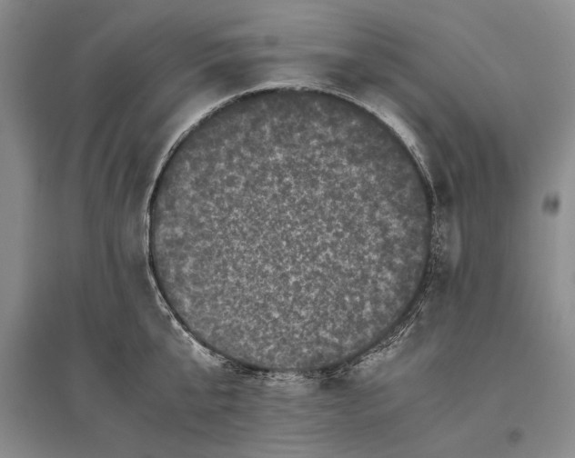 X0000096980807200802291144