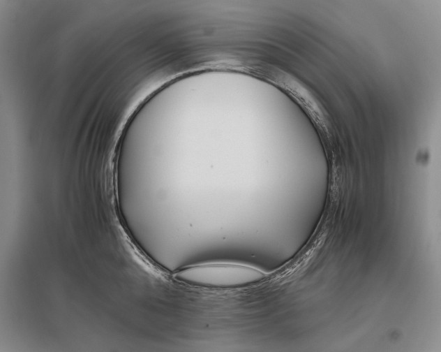 X0000096980808200802291144