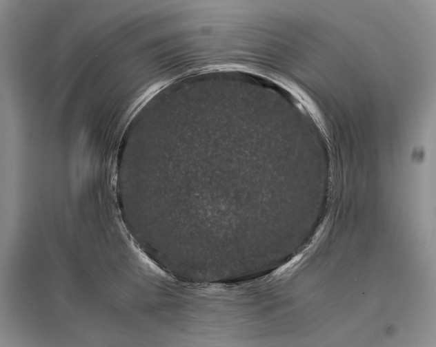 X0000096980809200802291144