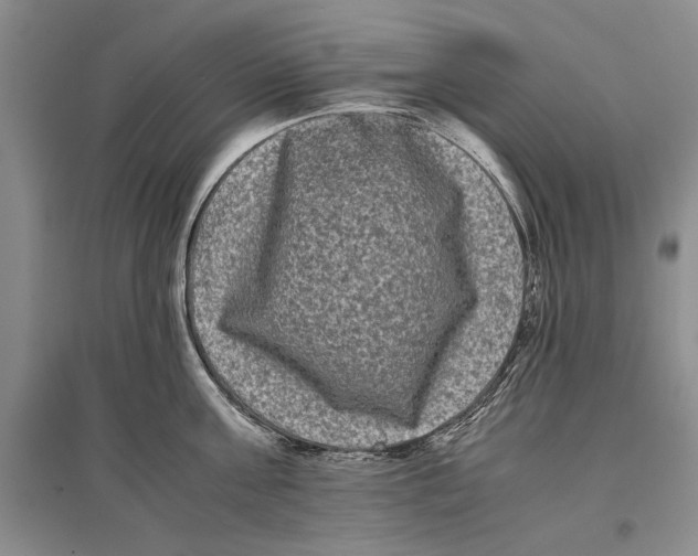 X0000096980811200802291144