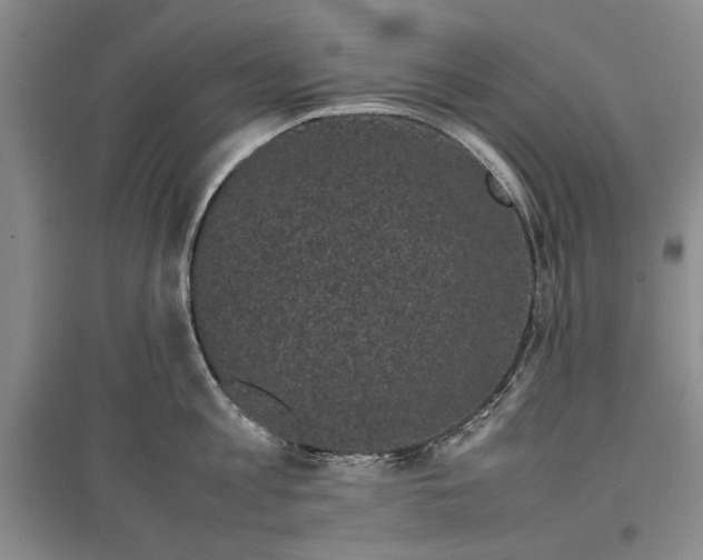 X0000096980813200802291144